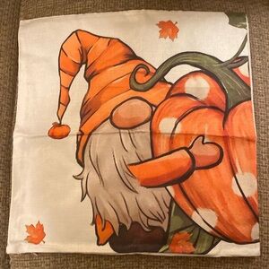 Nwot Pillow covers